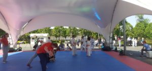 Платная скорая медицинская помощь в Москве и Московской области «ВераМед 03»
