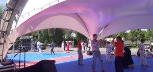 Платная скорая медицинская помощь в Москве и Московской области «ВераМед 03»